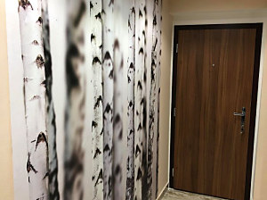 interiér - fototapeta breza vliesová, rozmer 215x235cm vzor 29201